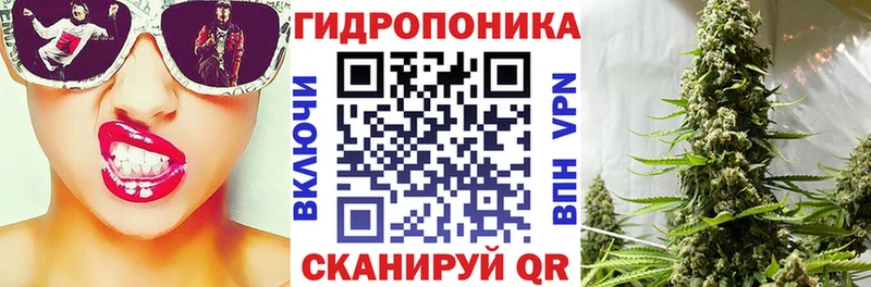 Конопля планчик Всеволожск